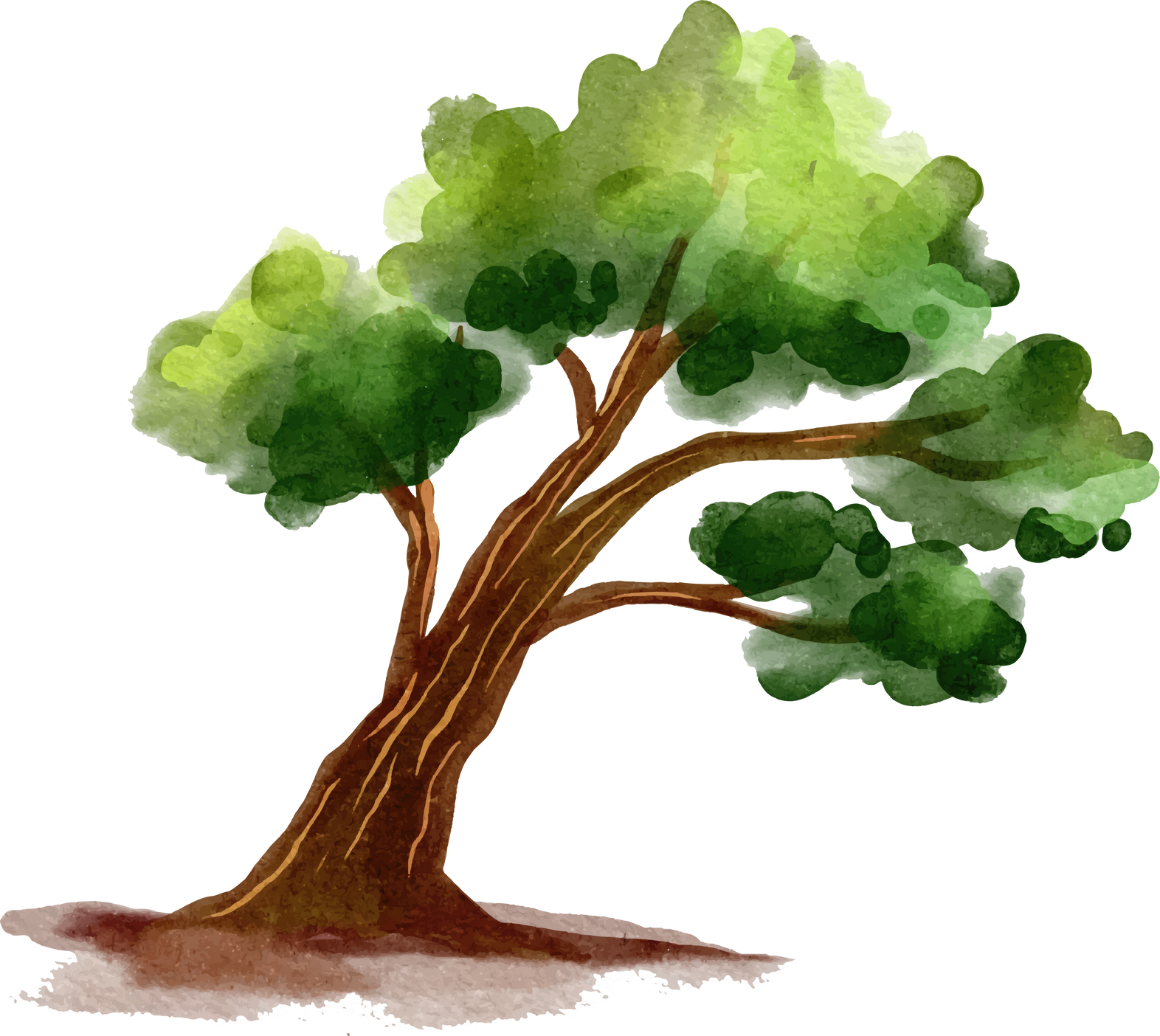 WATERCOLOR TREE